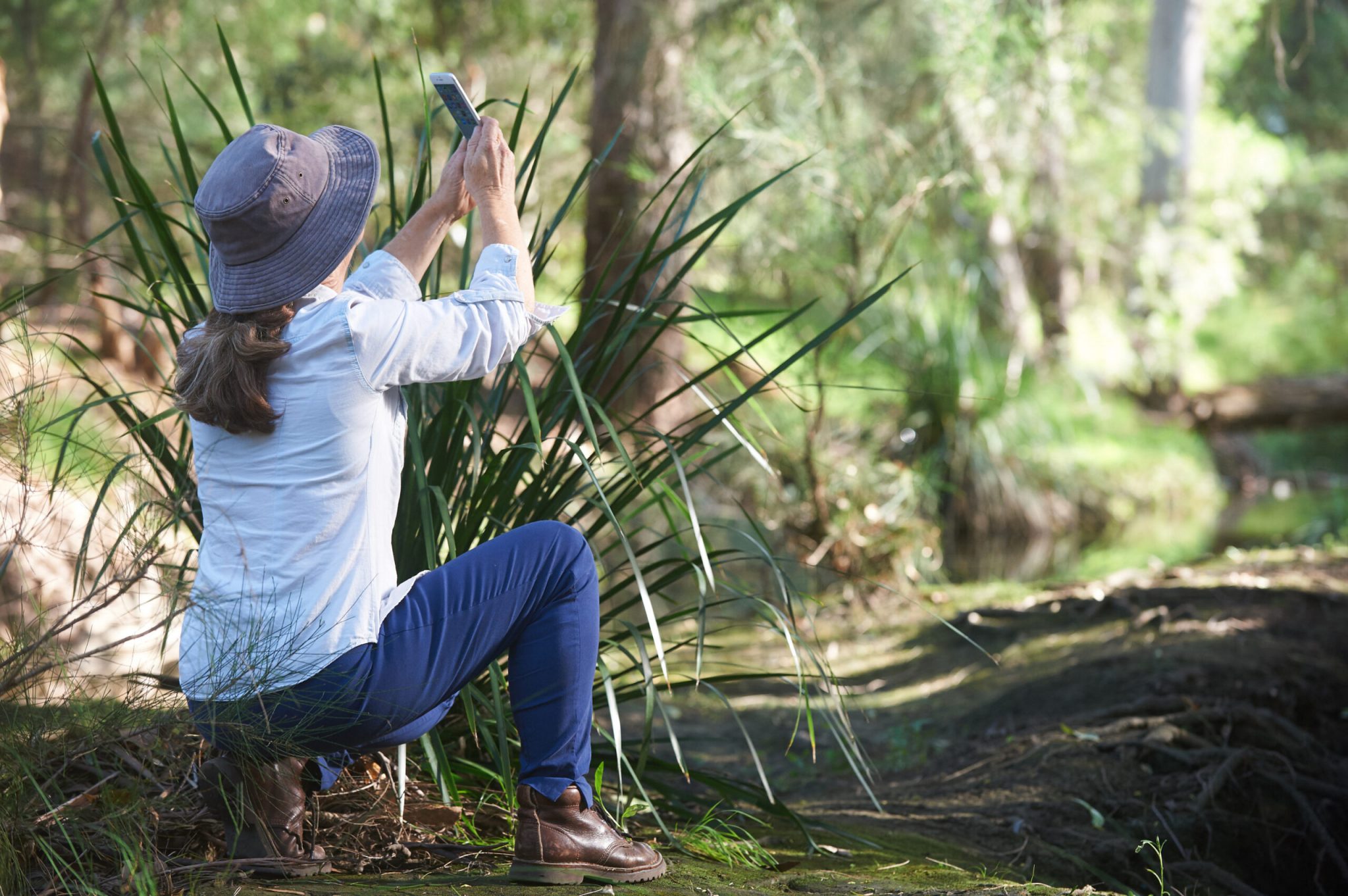 Personne prenant en photo la nature avec son téléphone dans le cadre d'une observation de science