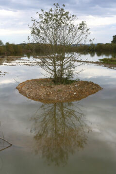 Cette ancienne gravière a été réaménagée en zone humide dans le but de préserver les habitats de certaines espèces protégées. Des îlots refuges ont été aménagés.