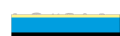 Exine intectée rugulée (vue de profil)