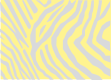 Exine intectée striée (vue de dessus)
