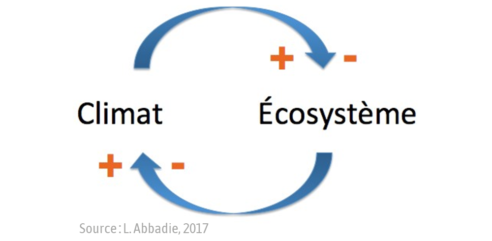 Climat et ecosysteme