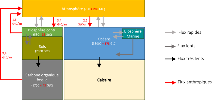 Schéma du cycle carbone perturbé par les activités anthropiques