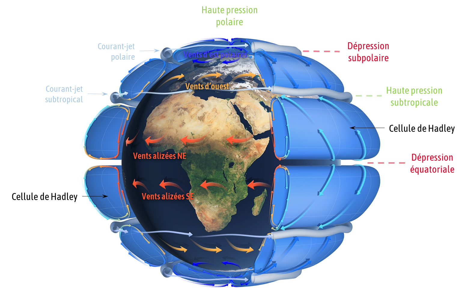 Représentation des différents vents et courants parcourant la Terre