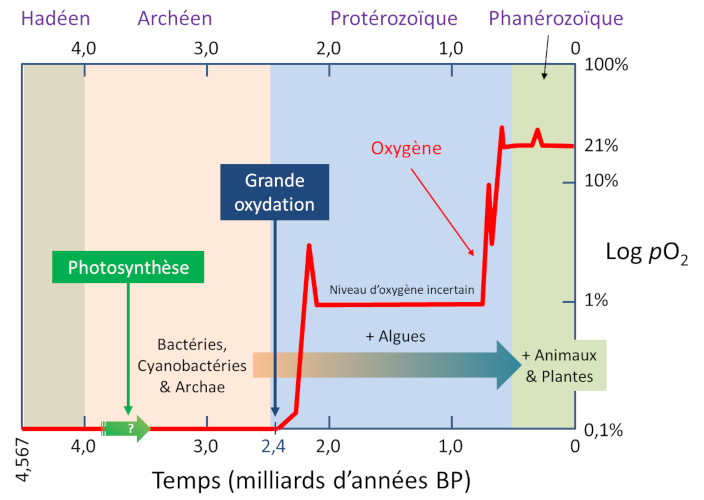 Echelles des temps géologiques regroupant les 4 Eons