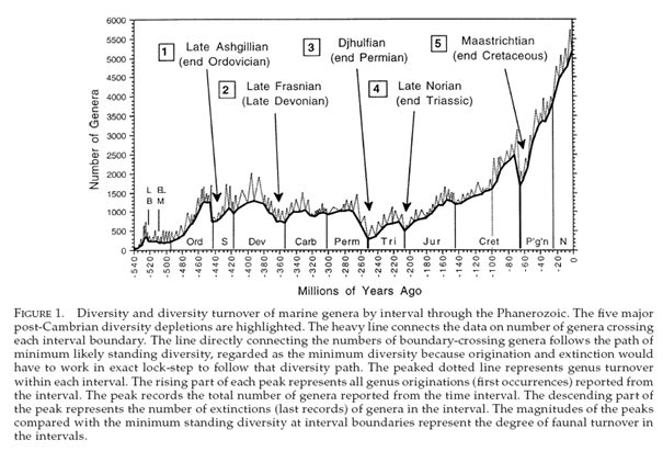 Graphique des 5 grandes extinctions