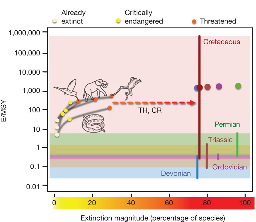 Graphique montrant le taux d'extinction ainsi que son ampleur