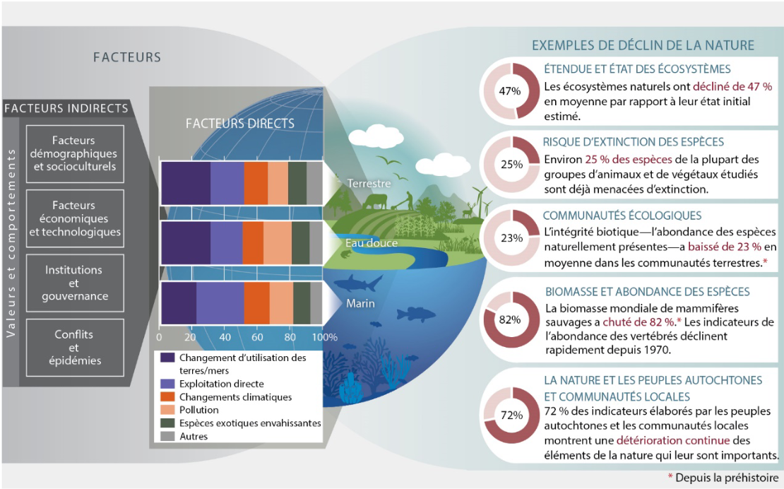 Image illustrant les facteurs de déclin de la biodiversité, accompagné d'exemples