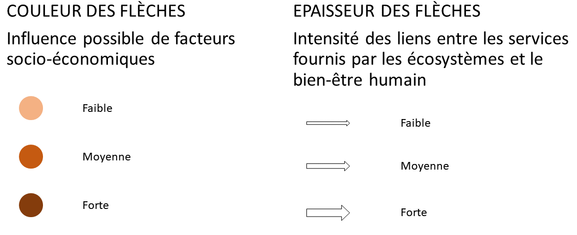 Légende du tableau mettant en relation les SE avec les composantes du bien-être humain