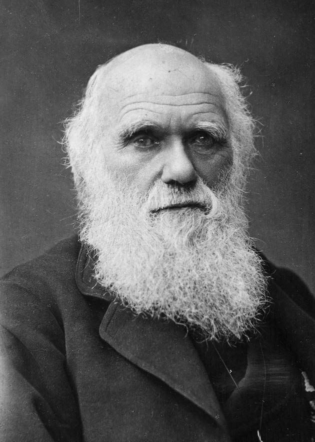 Portrait de Charles Darwin